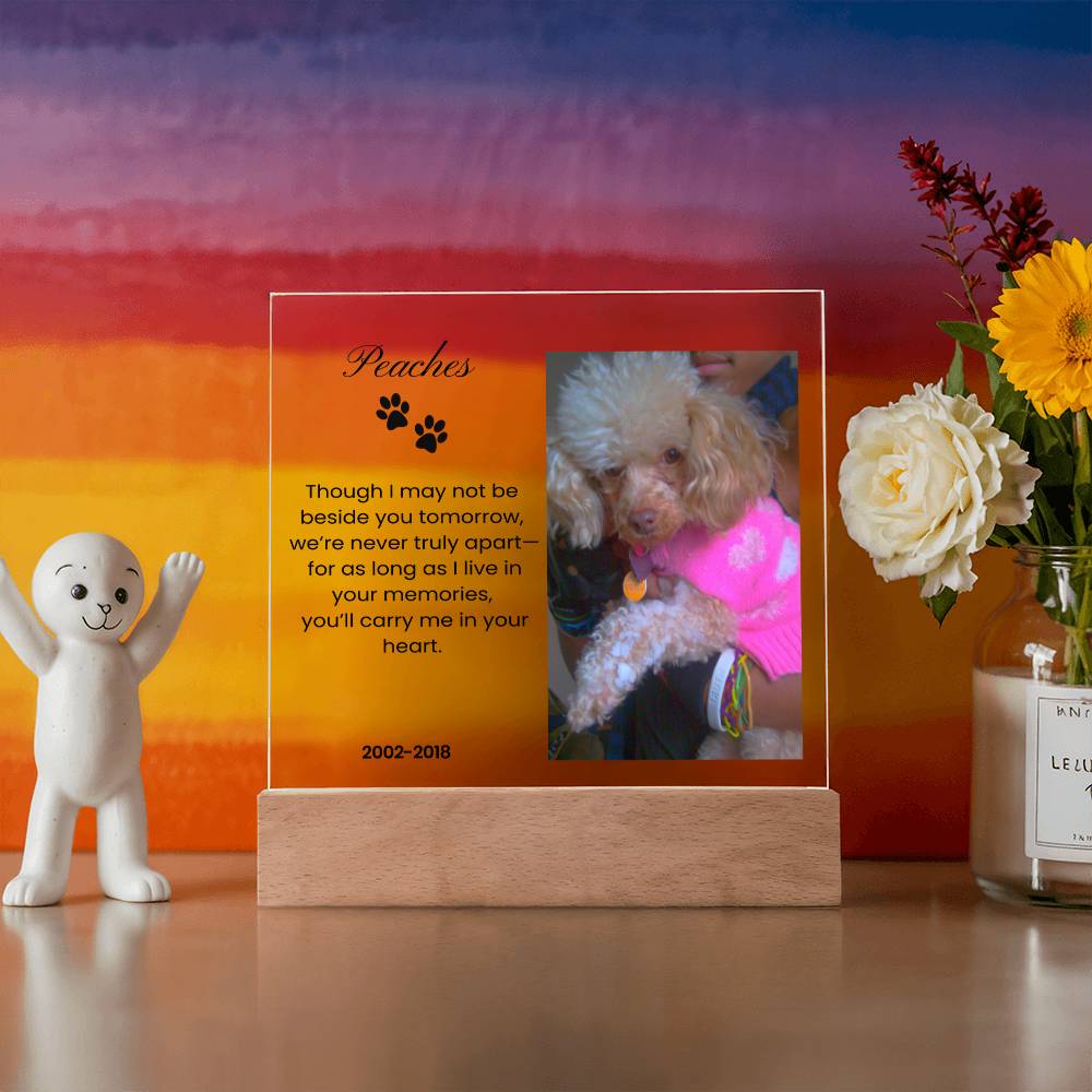 In Loving Memory Acrylic Plaque For Pets
