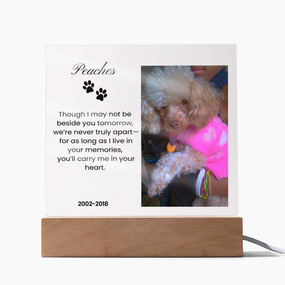 In Loving Memory Acrylic Plaque For Pets
