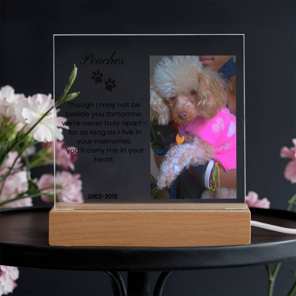In Loving Memory Acrylic Plaque For Pets