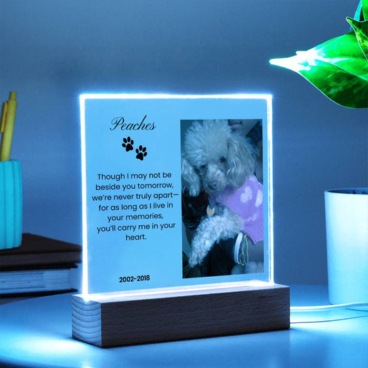 In Loving Memory Acrylic Plaque For Pets